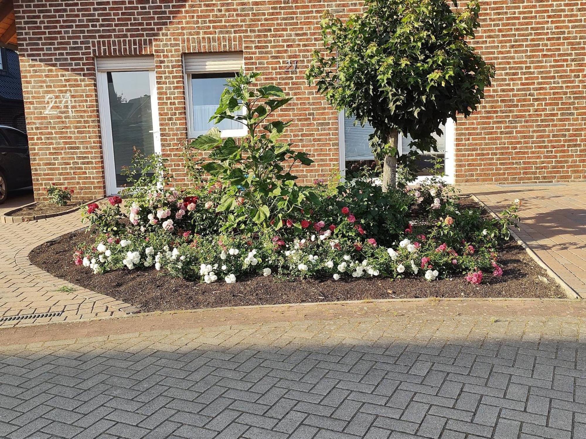 Apartment Holunderbusch